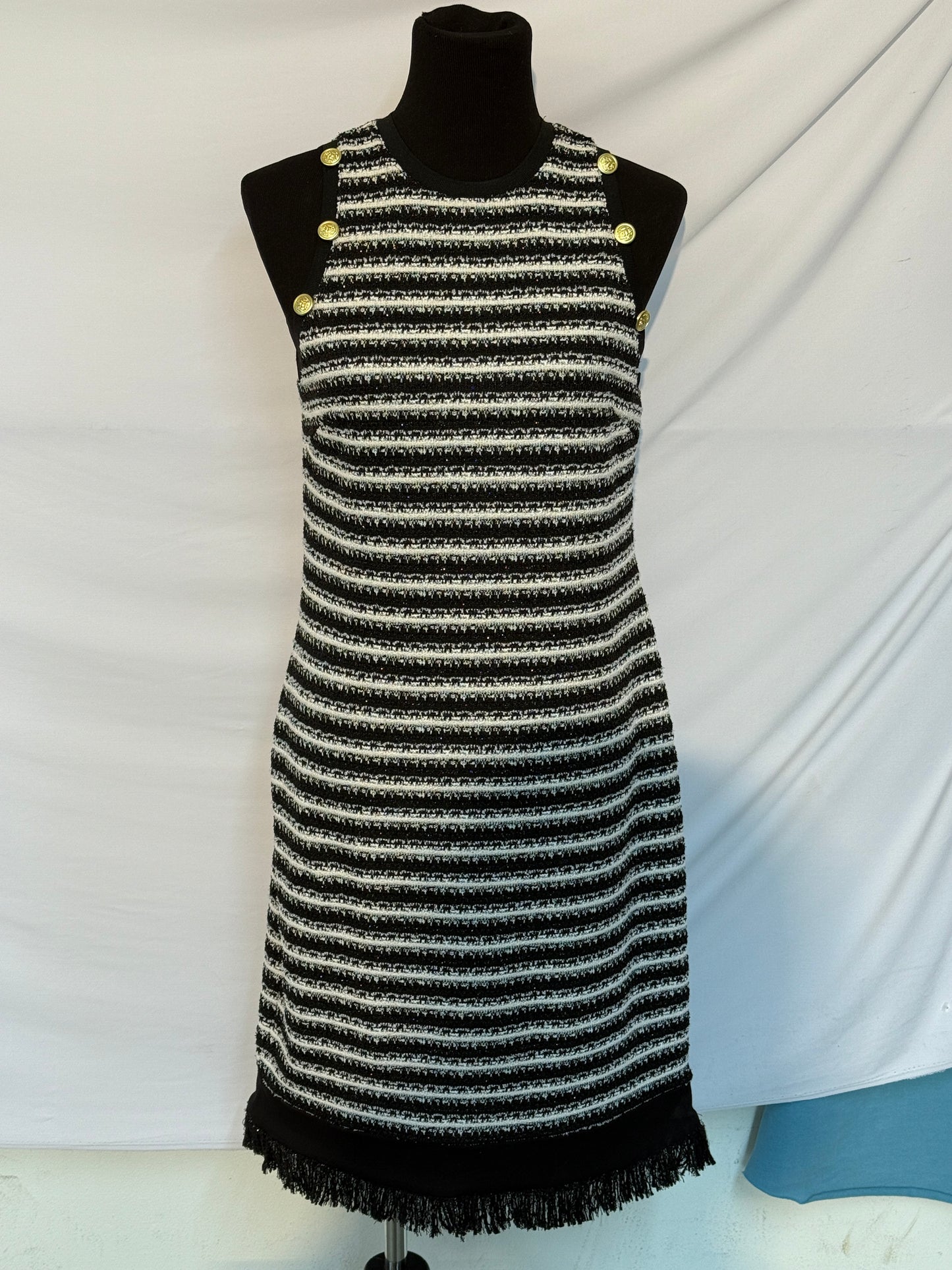 Zebra Striped Dress