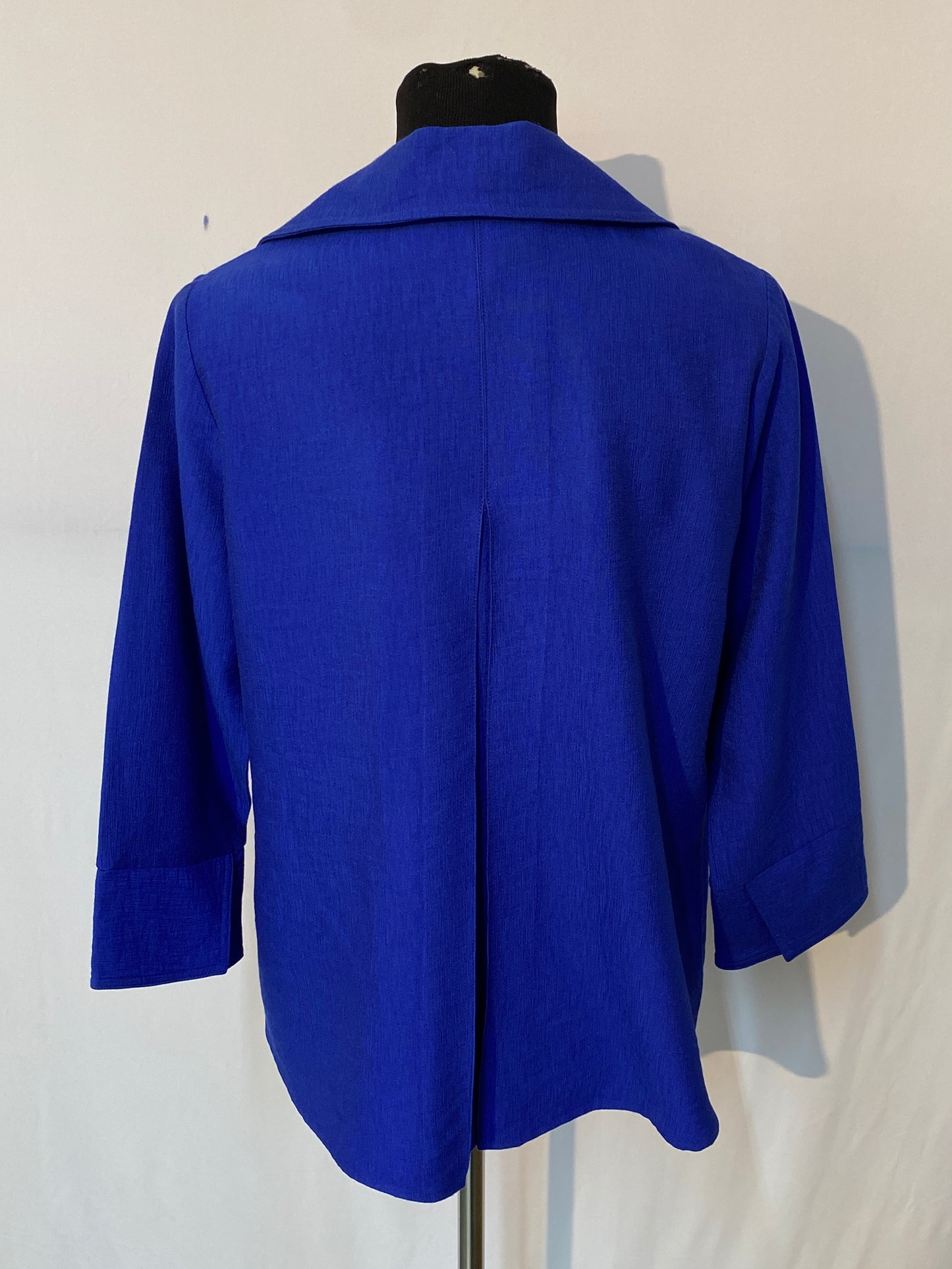 V-Neck Pleat Back Blouse