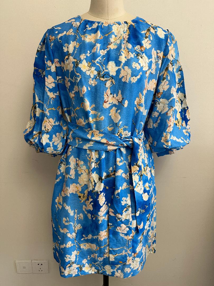 4038257 Dress